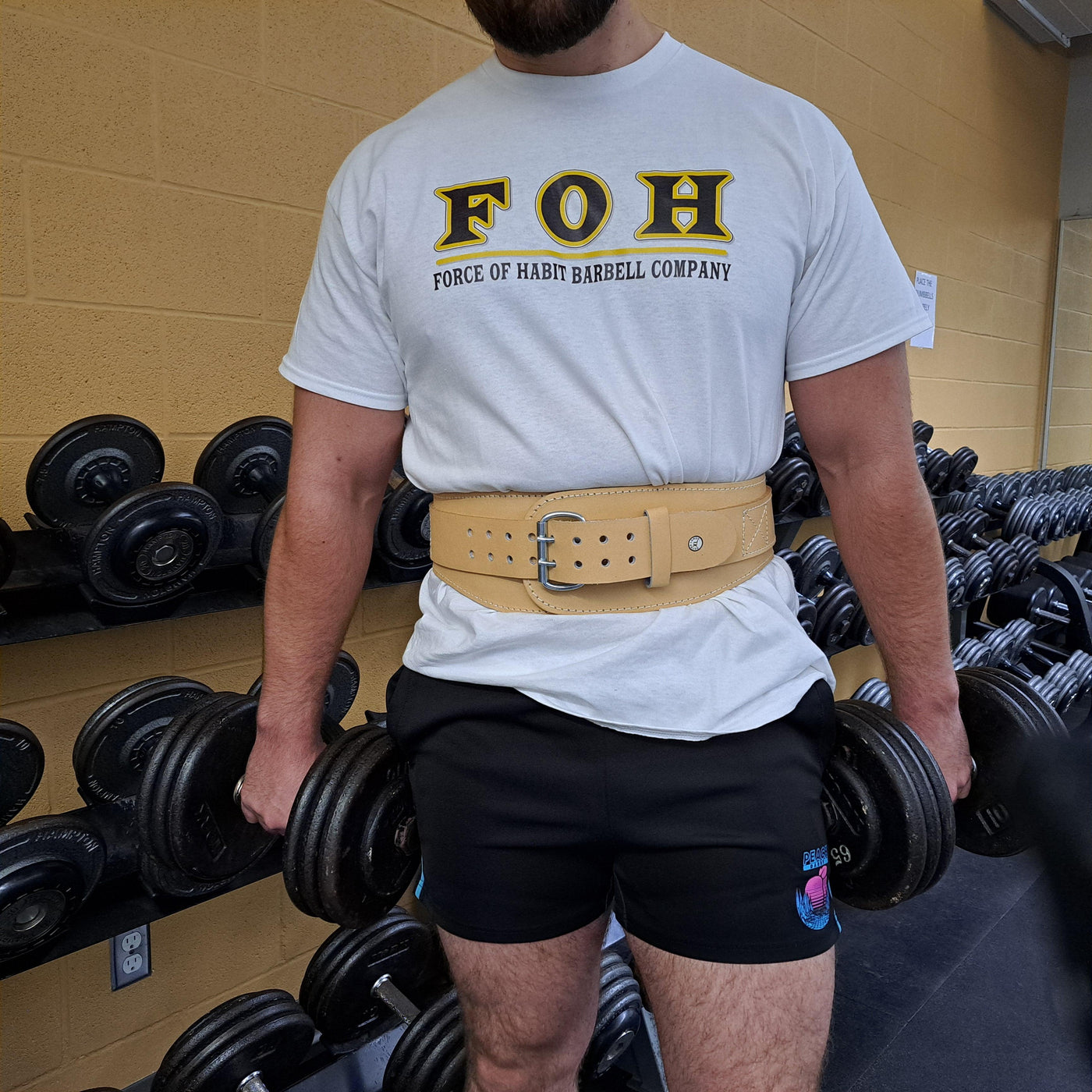 Double Prong Split Leather Powerlifting Belt, 6" wide (Clearance Rack Item) - Force of Habit Barbell Company