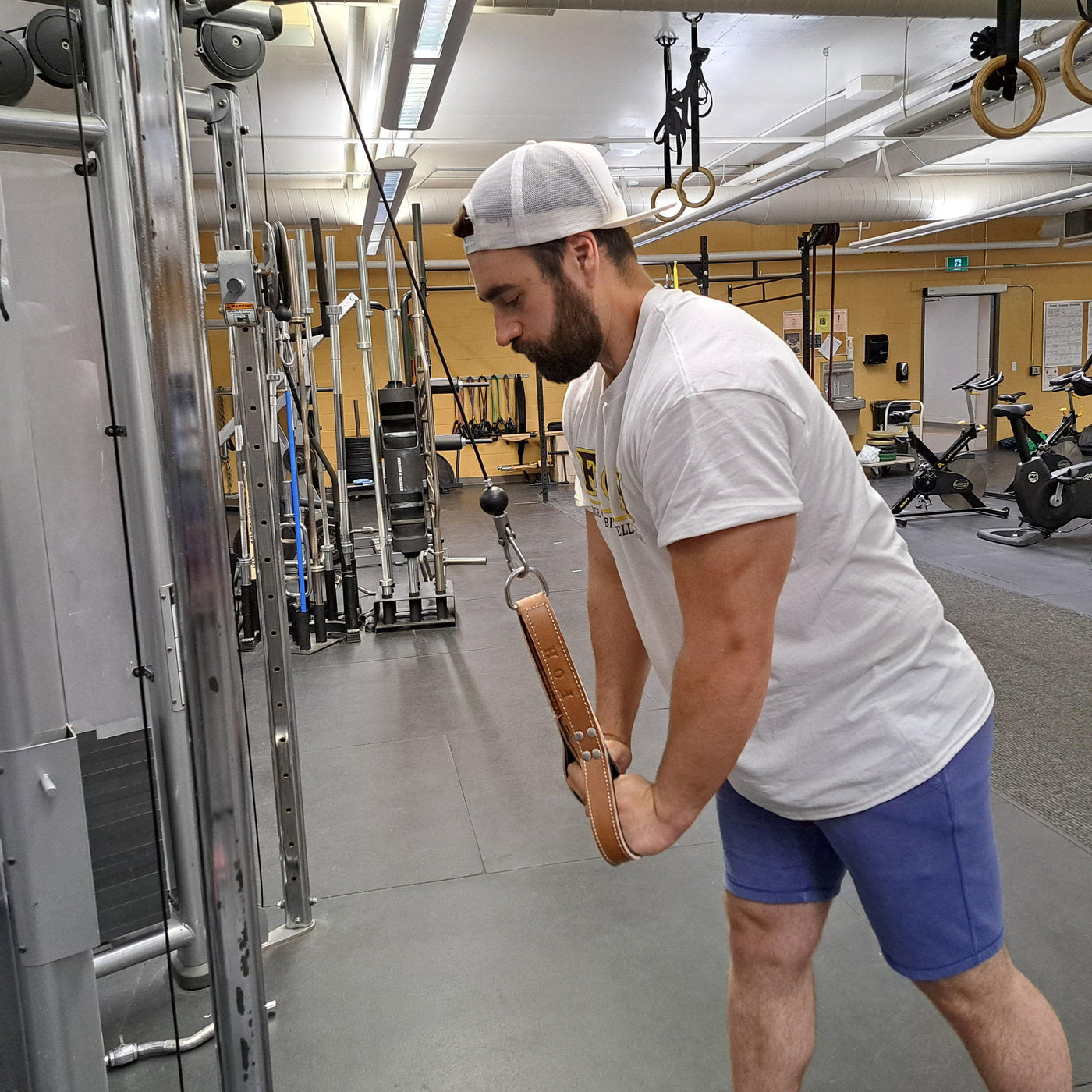 Tricep Straps - Force of Habit Barbell Company